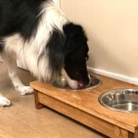 Handmade Double Wooden Dog Bowl Stand